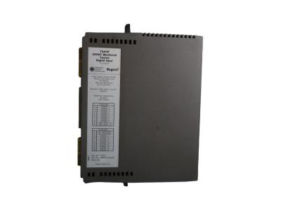 ICS Triplex T3411F